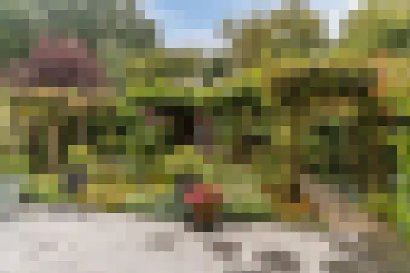De Heze 67 Breda thumbnail 36