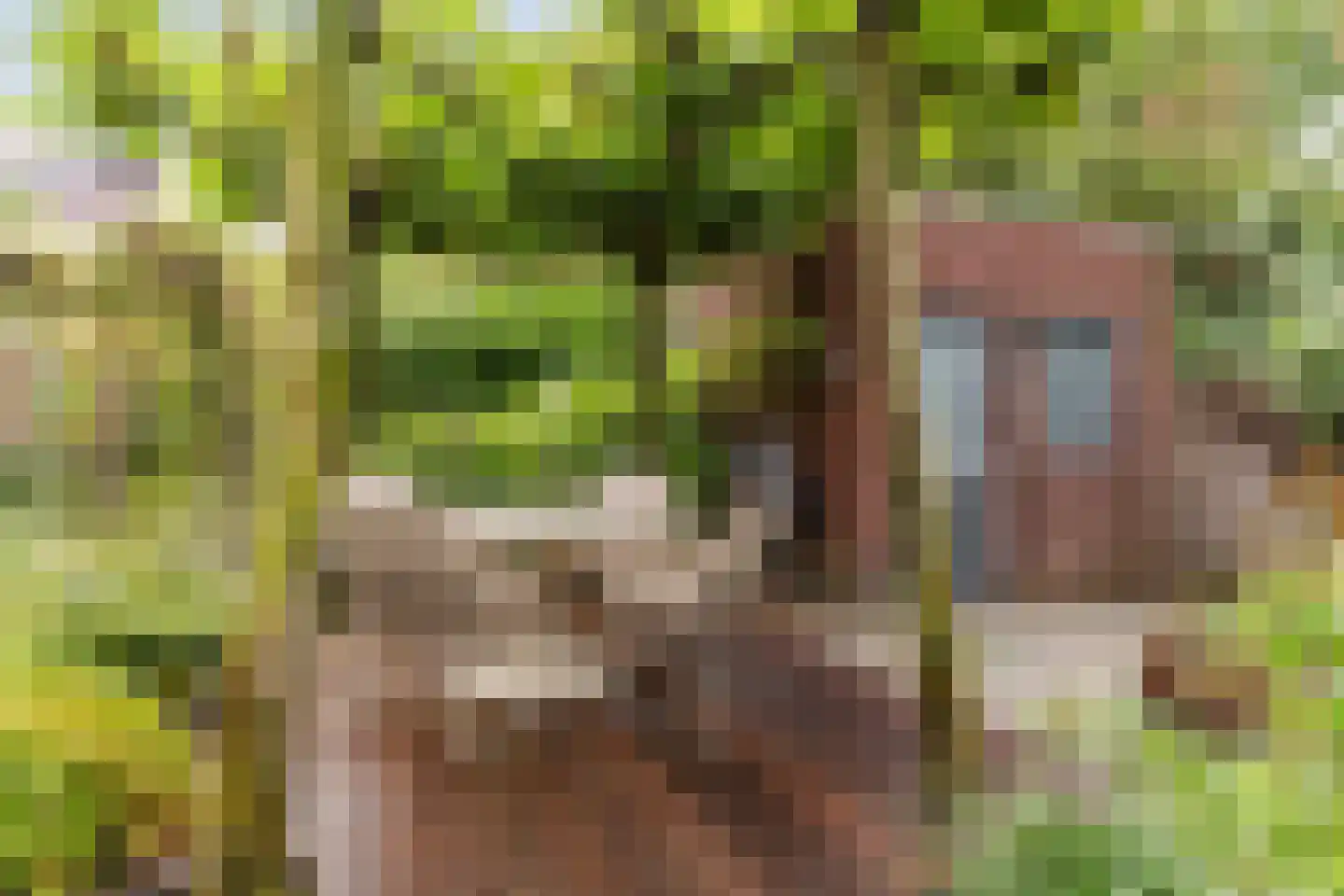 De Heze 67 Breda thumbnail 37