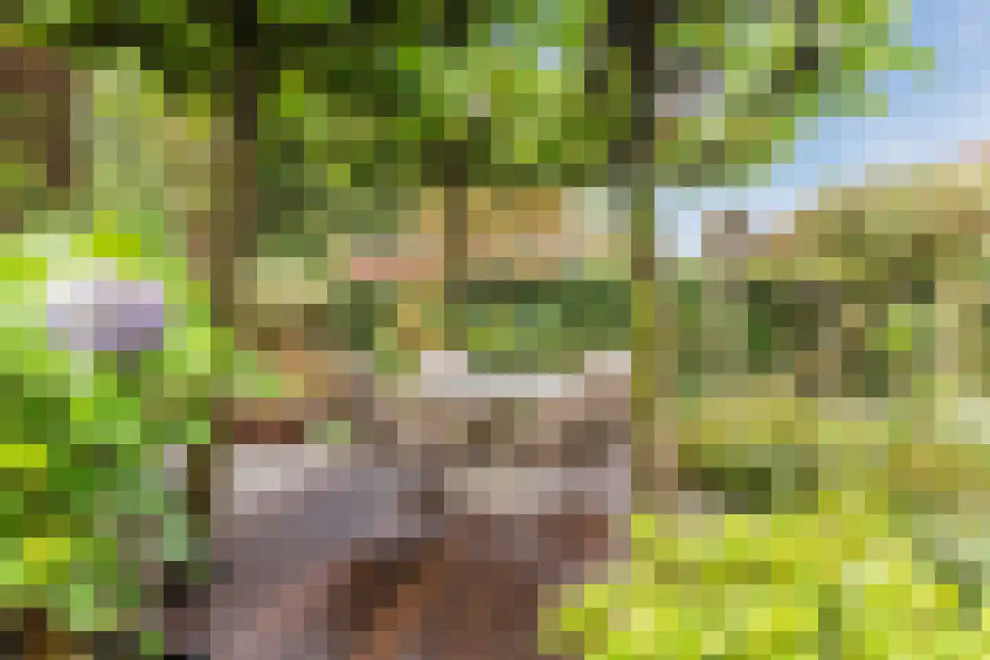 De Heze 67 Breda thumbnail 38