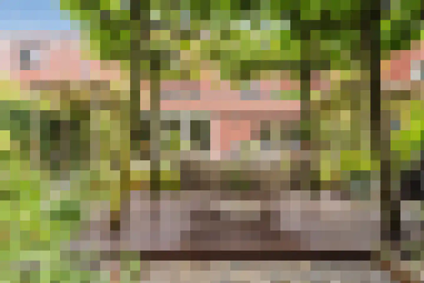 De Heze 67 Breda thumbnail 39