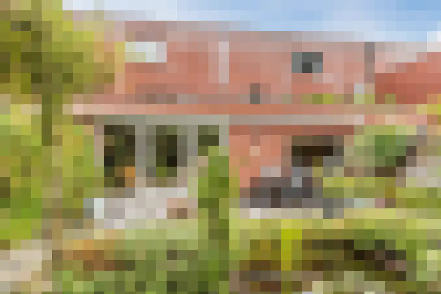 De Heze 67 Breda thumbnail 40
