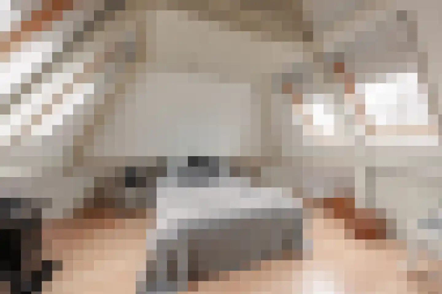De Hiemen 2 Makkum thumbnail 31
