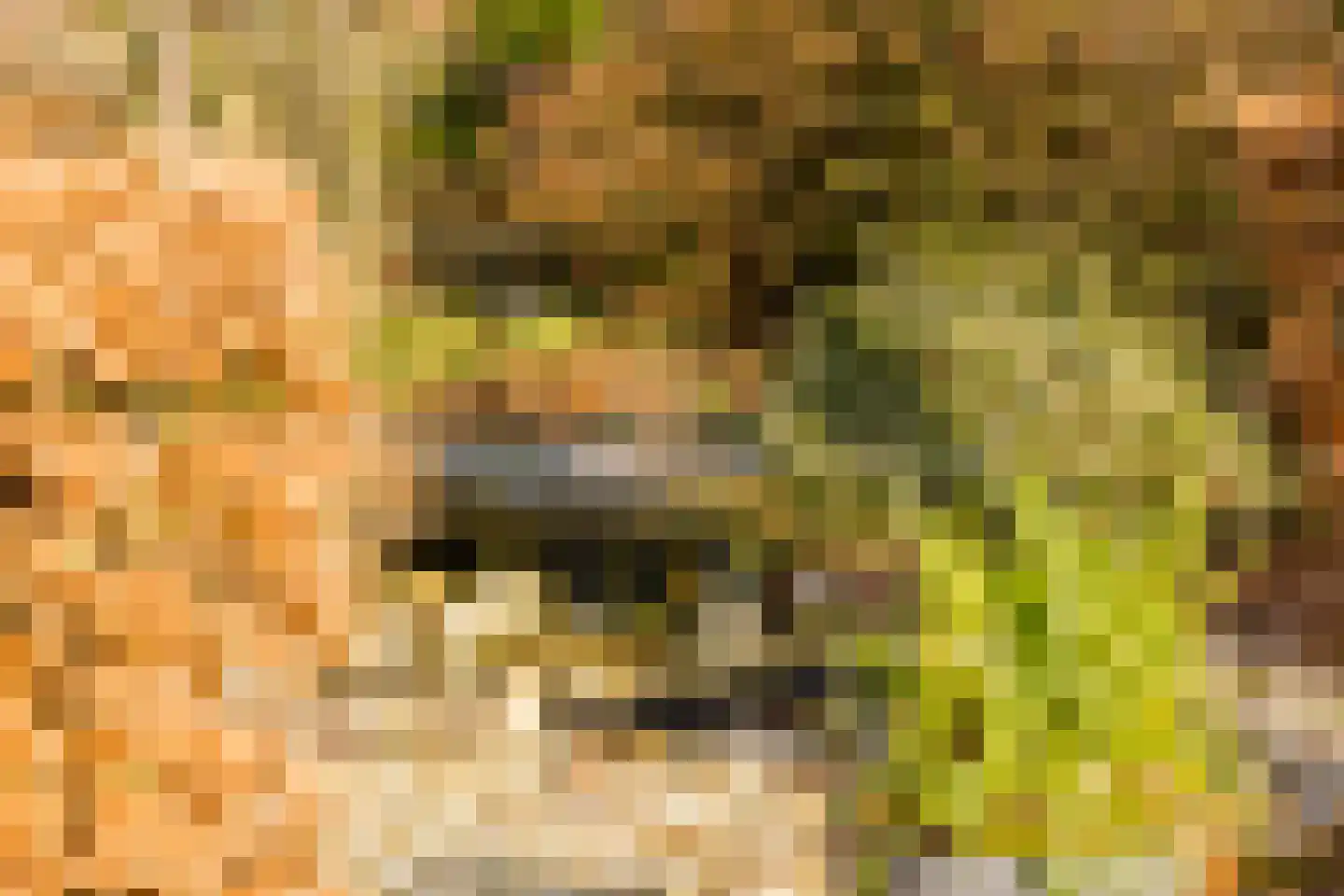 De Hiemen 2 Makkum thumbnail 35