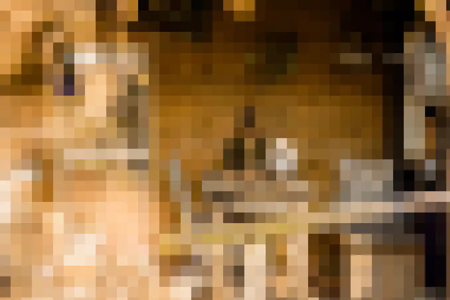 De Hiemen 2 Makkum thumbnail 36