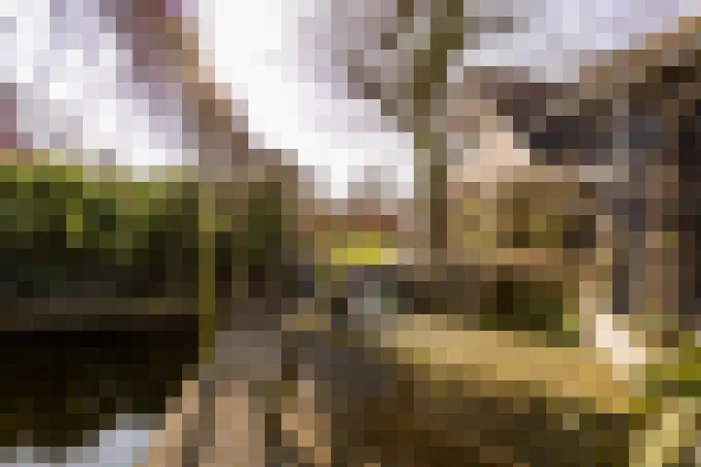 De Hiemen 2 Makkum thumbnail 41