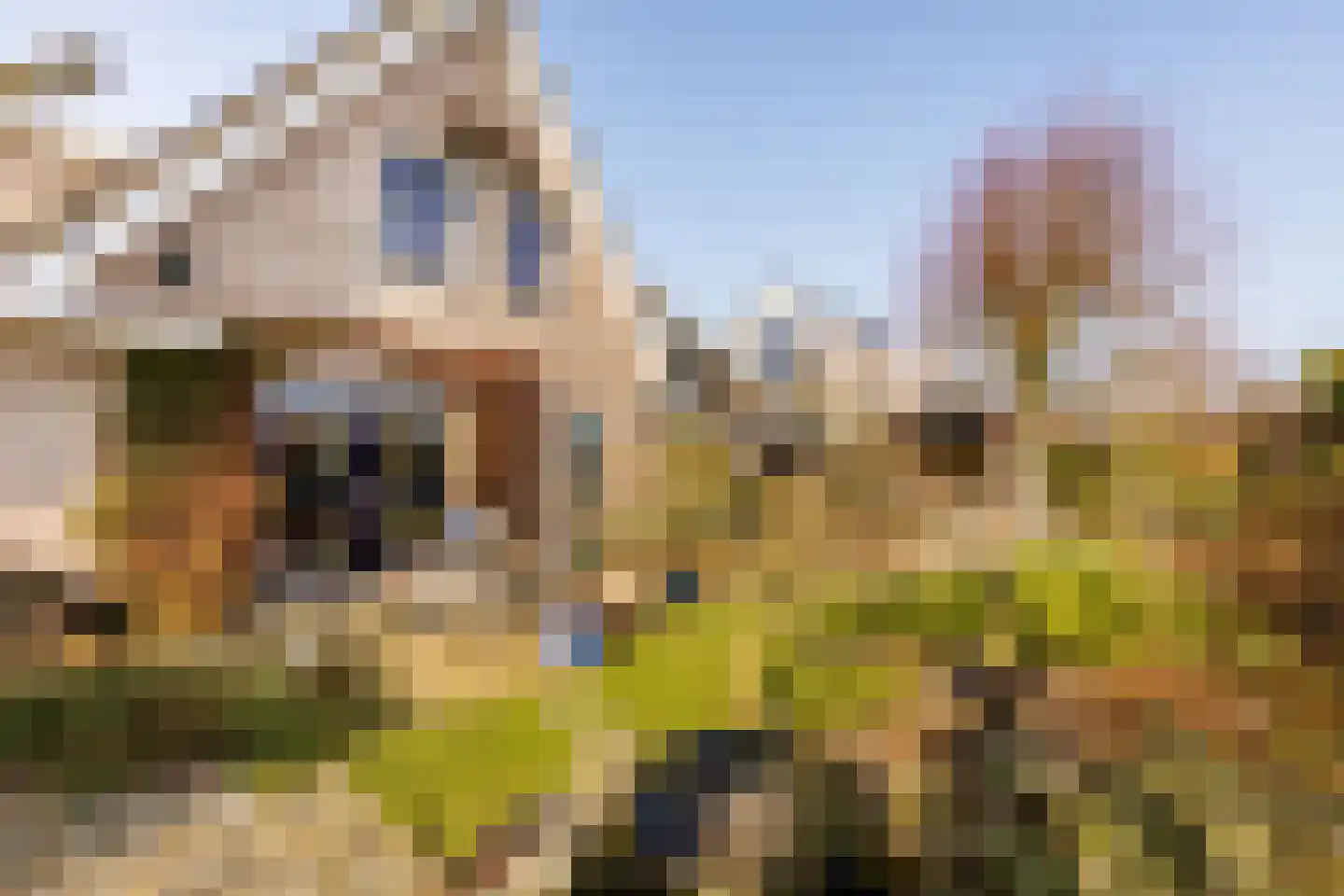 De Hiemen 2 Makkum thumbnail 43