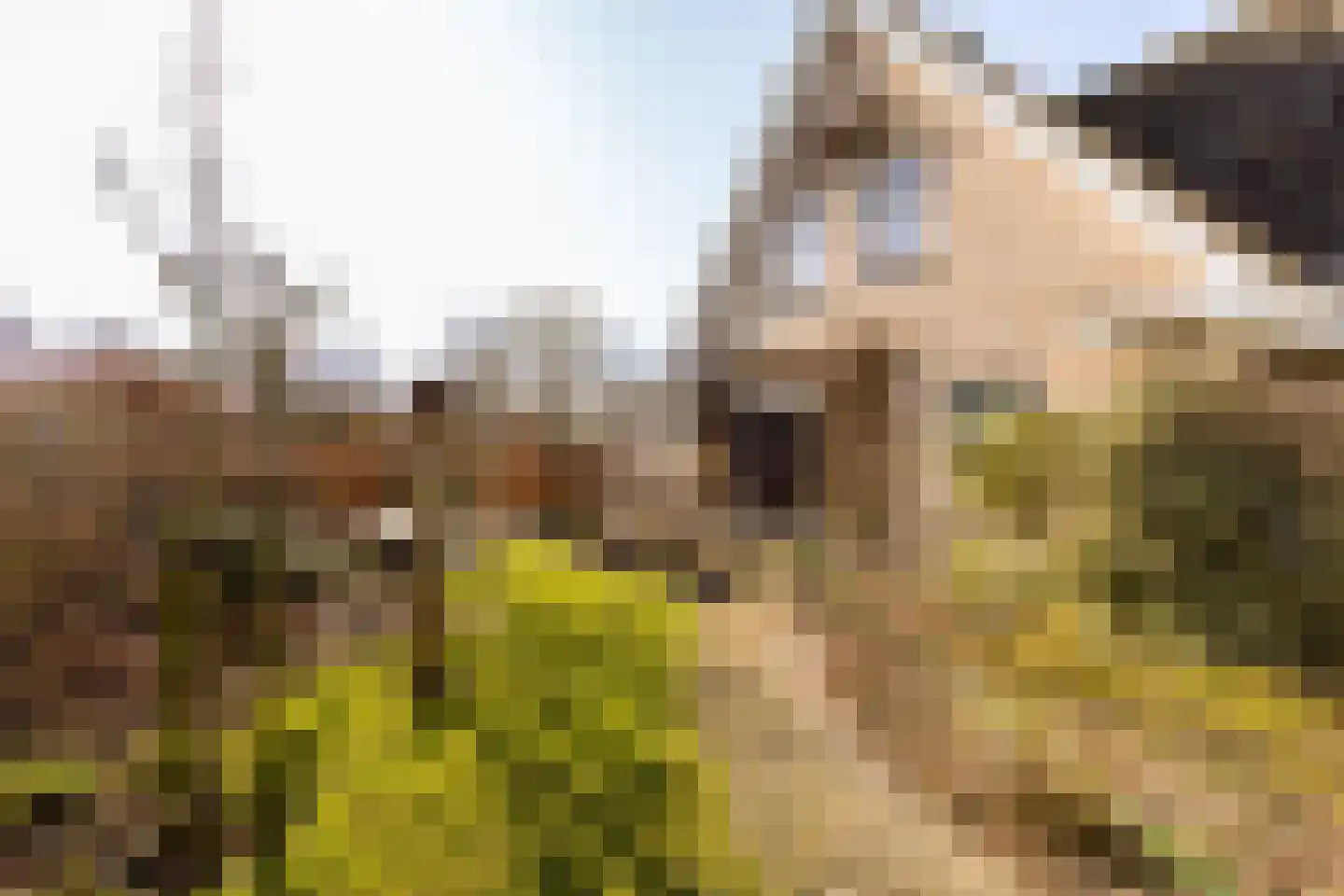 De Hiemen 2 Makkum thumbnail 48