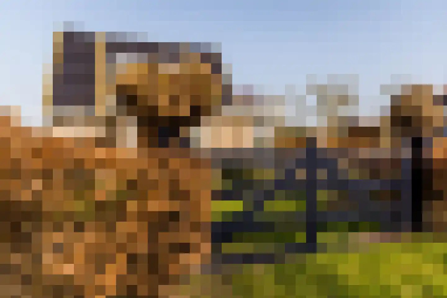 De Hiemen 2 Makkum thumbnail 50