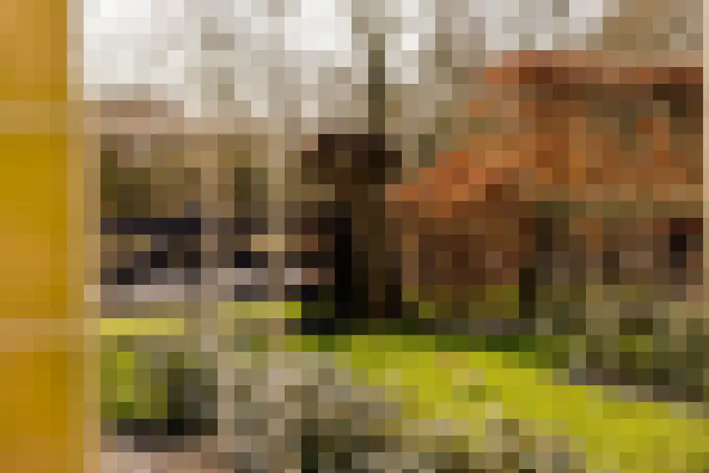 De Hiemen 2 Makkum thumbnail 51