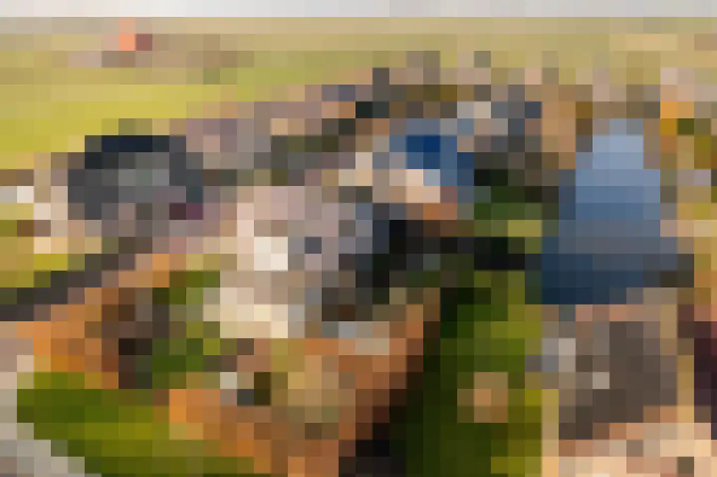 De Hiemen 2 Makkum thumbnail 52
