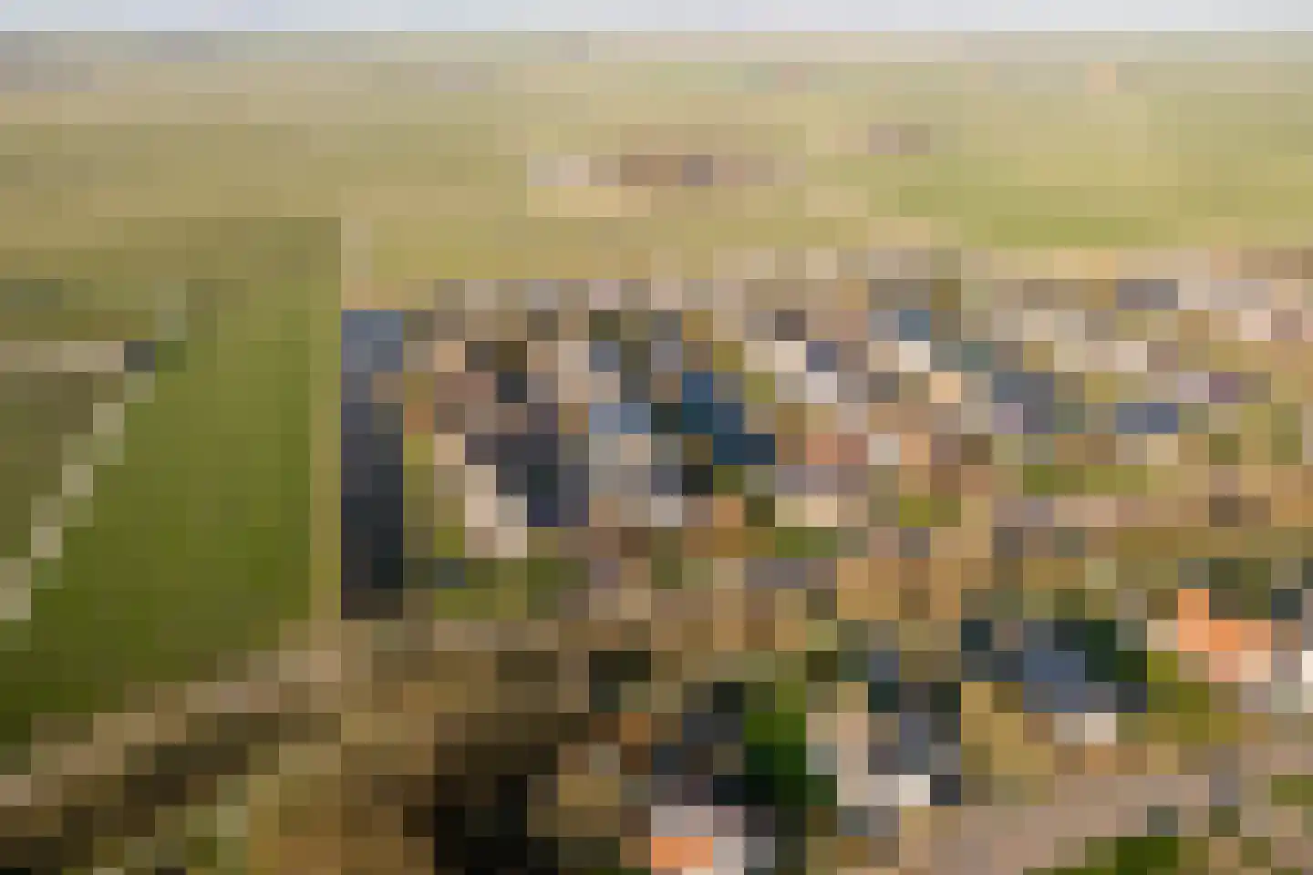 De Hiemen 2 Makkum thumbnail 53