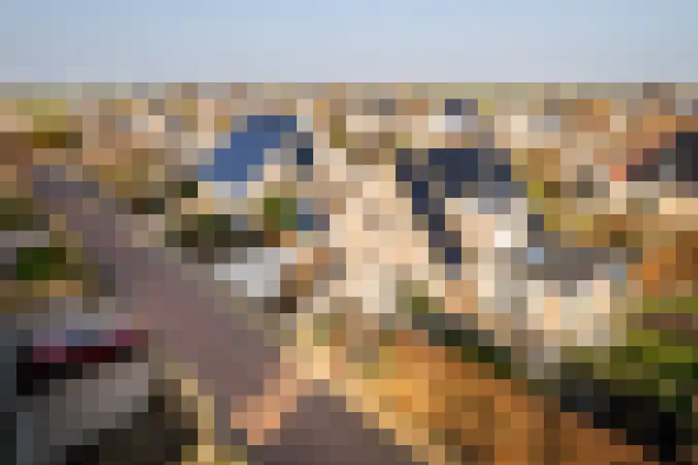 De Hiemen 2 Makkum thumbnail 6