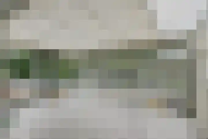 De Hietbrink 105 Emmen thumbnail 11