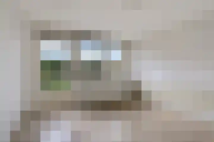 De Hietbrink 105 Emmen thumbnail 15