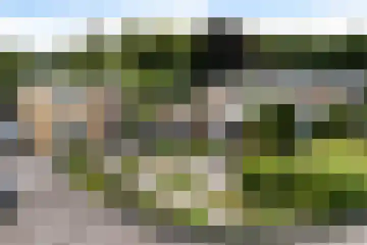 De Hietbrink 105 Emmen thumbnail 24