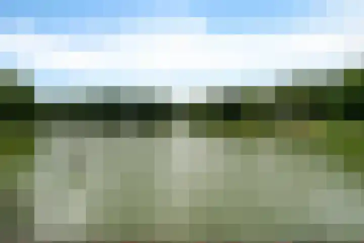 De Hietbrink 105 Emmen thumbnail 31