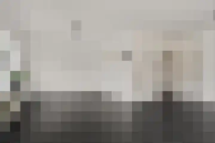 De Hietbrink 105 Emmen thumbnail 7