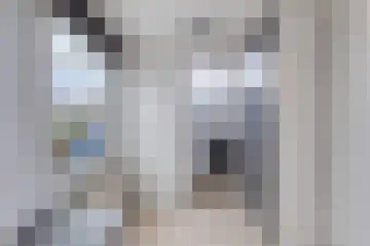De Hietbrink 2 Emmen thumbnail 16