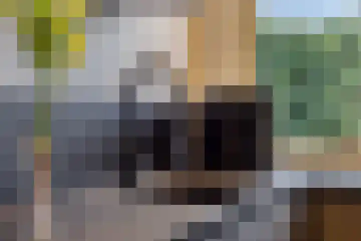 De Hietbrink 2 Emmen thumbnail 22