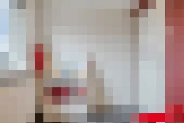 De Hietbrink 2 Emmen thumbnail 33