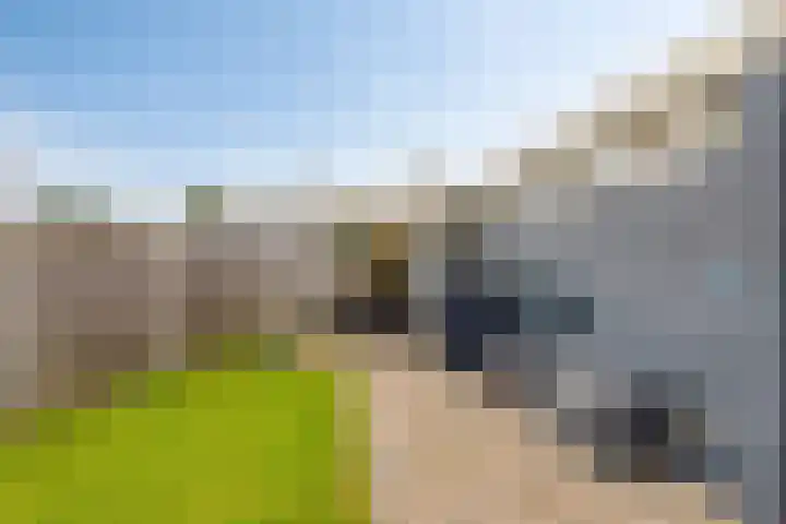 De Hietbrink 2 Emmen thumbnail 38