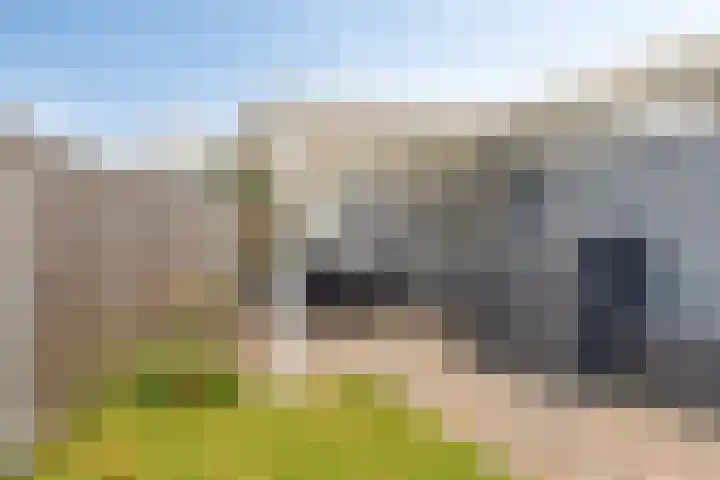 De Hietbrink 2 Emmen thumbnail 40