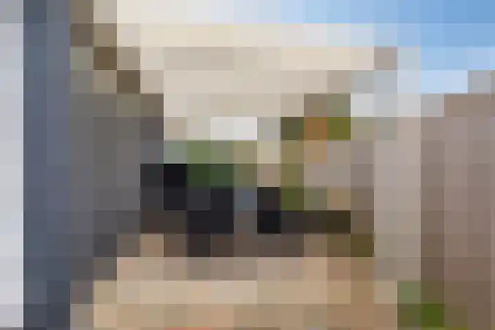 De Hietbrink 2 Emmen thumbnail 41
