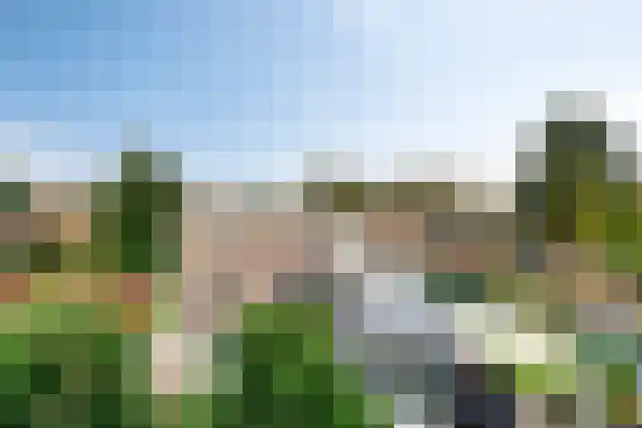 De Hietbrink 2 Emmen thumbnail 45