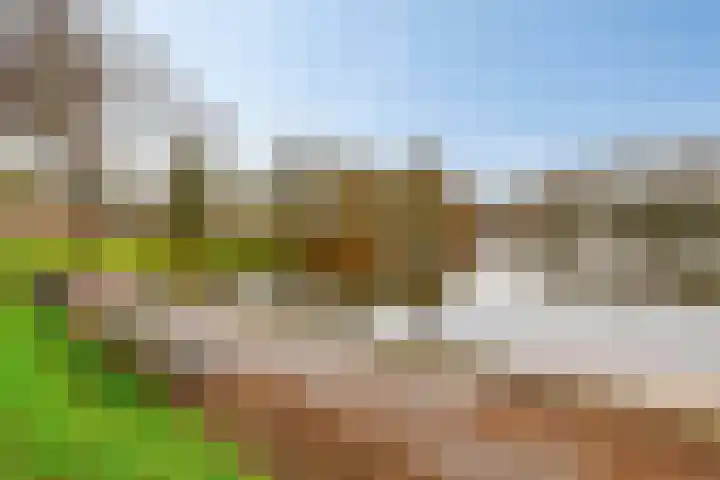 De Hietbrink 2 Emmen thumbnail 48
