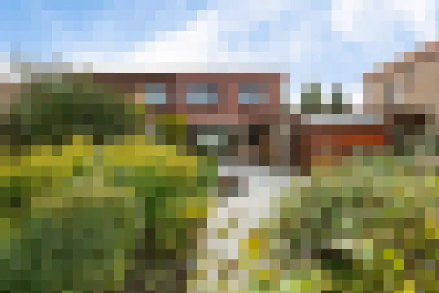 De Hietbrink 61 Emmen thumbnail 28