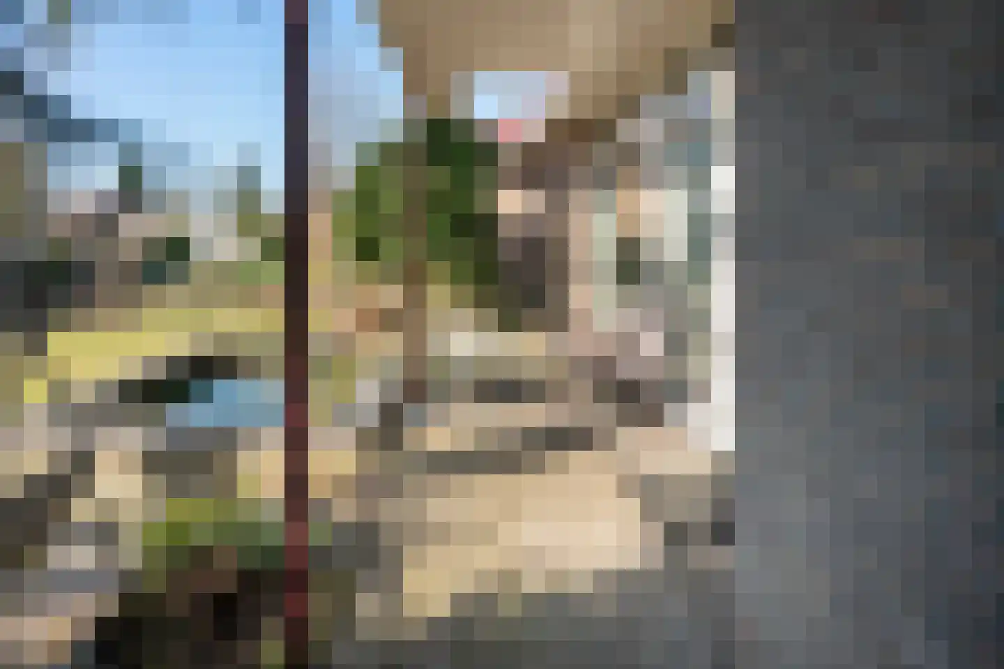 De Hietbrink 95 Emmen thumbnail 34