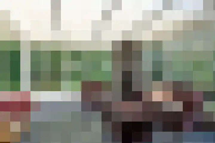 De Hietbrink 99 Emmen thumbnail 17