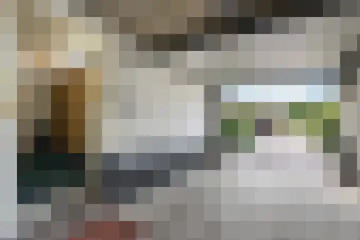 De Hietbrink 99 Emmen thumbnail 33
