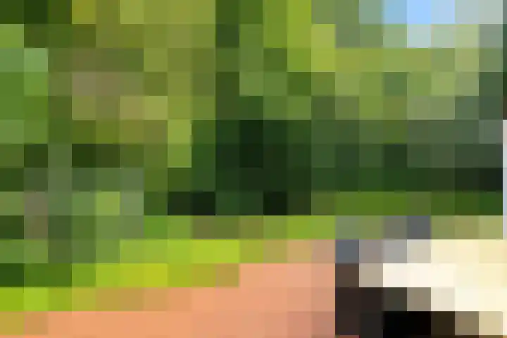De Hietbrink 99 Emmen thumbnail 35