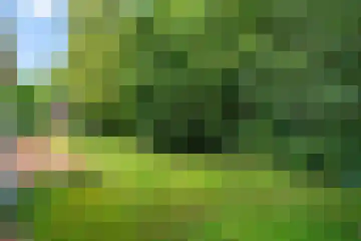 De Hietbrink 99 Emmen thumbnail 37
