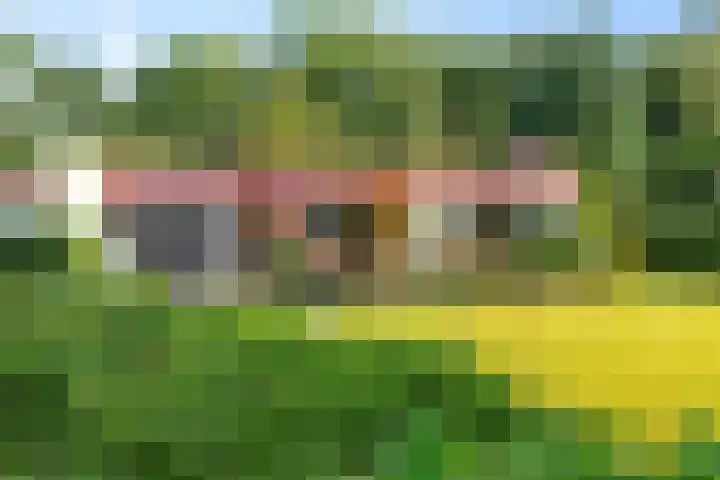 De Hietbrink 99 Emmen thumbnail 41