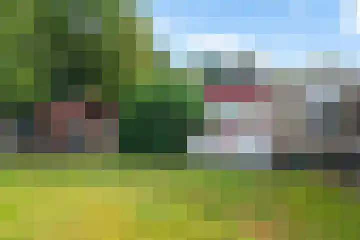 De Hietbrink 99 Emmen thumbnail 42