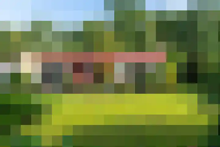 De Hietbrink 99 Emmen thumbnail 43