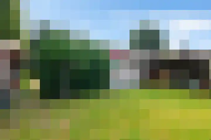 De Hietbrink 99 Emmen thumbnail 44