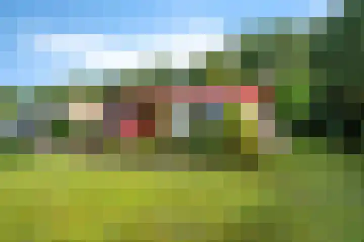 De Hietbrink 99 Emmen thumbnail 46