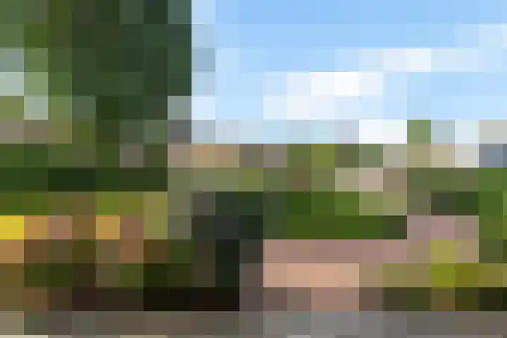 De Hietbrink 99 Emmen thumbnail 5