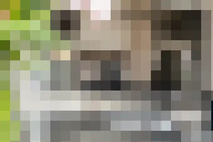 De Hil 18 Hendrik-Ido-Ambacht thumbnail 11