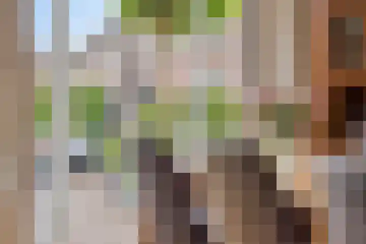 De Hil 18 Hendrik-Ido-Ambacht thumbnail 13