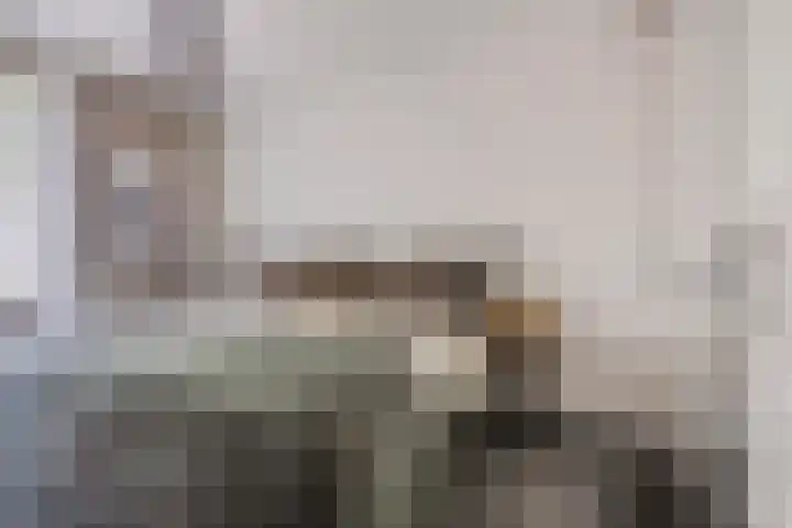 De Hil 18 Hendrik-Ido-Ambacht thumbnail 15