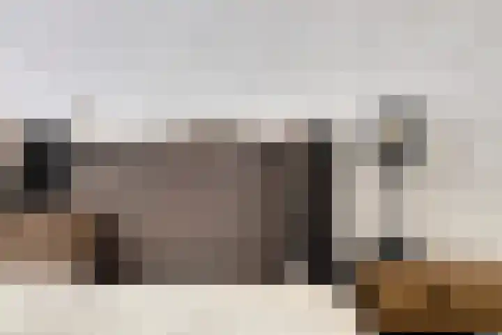 De Hil 18 Hendrik-Ido-Ambacht thumbnail 17