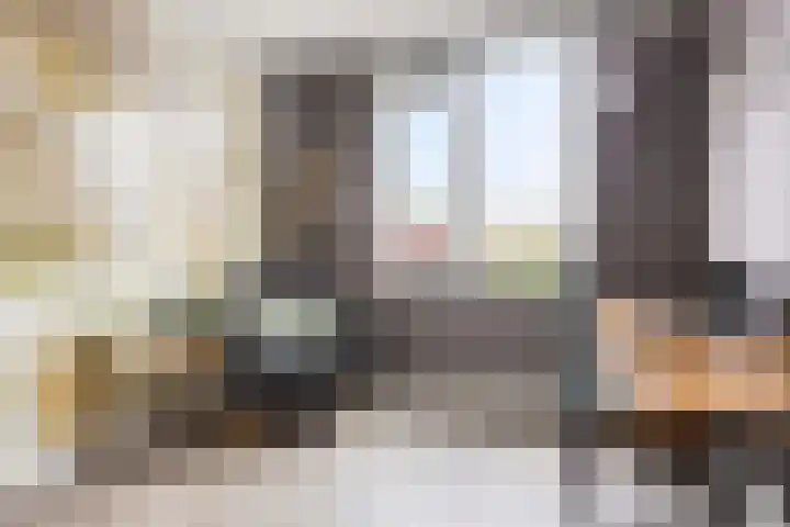 De Hil 18 Hendrik-Ido-Ambacht thumbnail 23