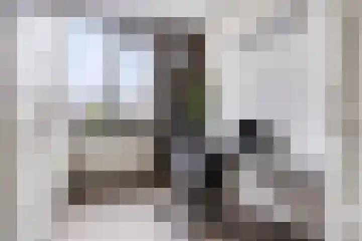 De Hil 18 Hendrik-Ido-Ambacht thumbnail 25
