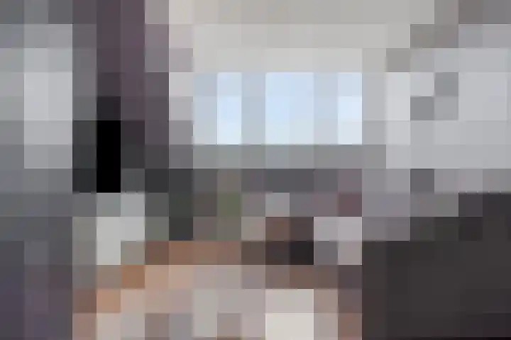De Hil 18 Hendrik-Ido-Ambacht thumbnail 28