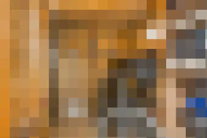 De Hil 18 Hendrik-Ido-Ambacht thumbnail 30