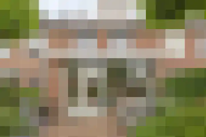 De Hil 18 Hendrik-Ido-Ambacht thumbnail 31